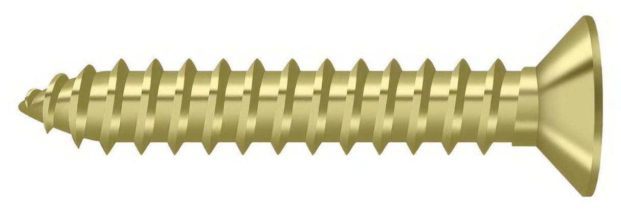 Deltana SCWB12125U3 polished brass screw pack