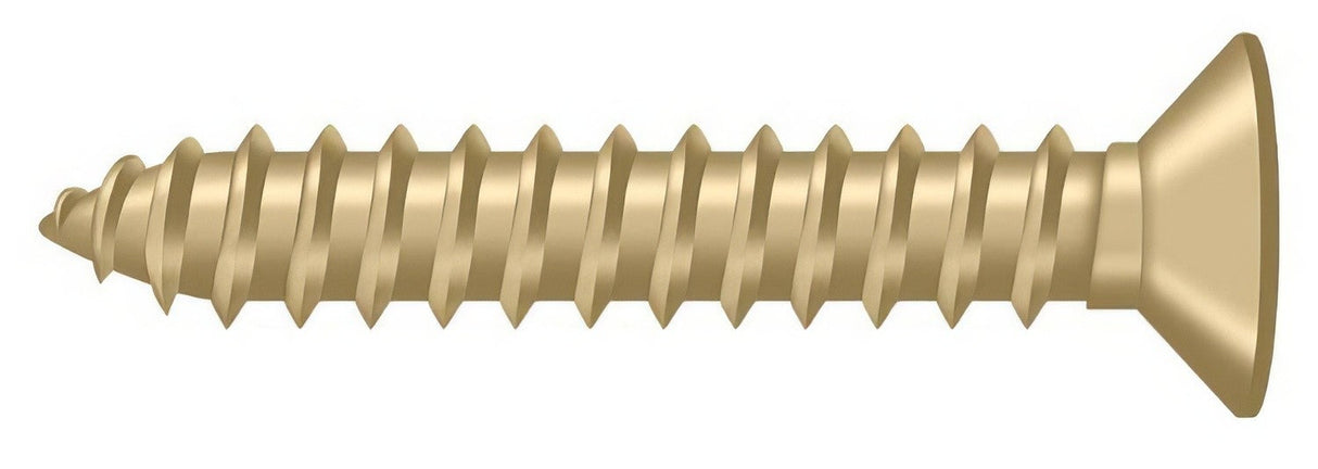 Deltana SCWB12125U4 brushed brass screw pack