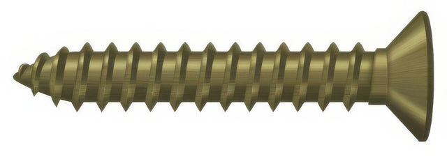 Deltana SCWB12125U5 antique brass screw pack