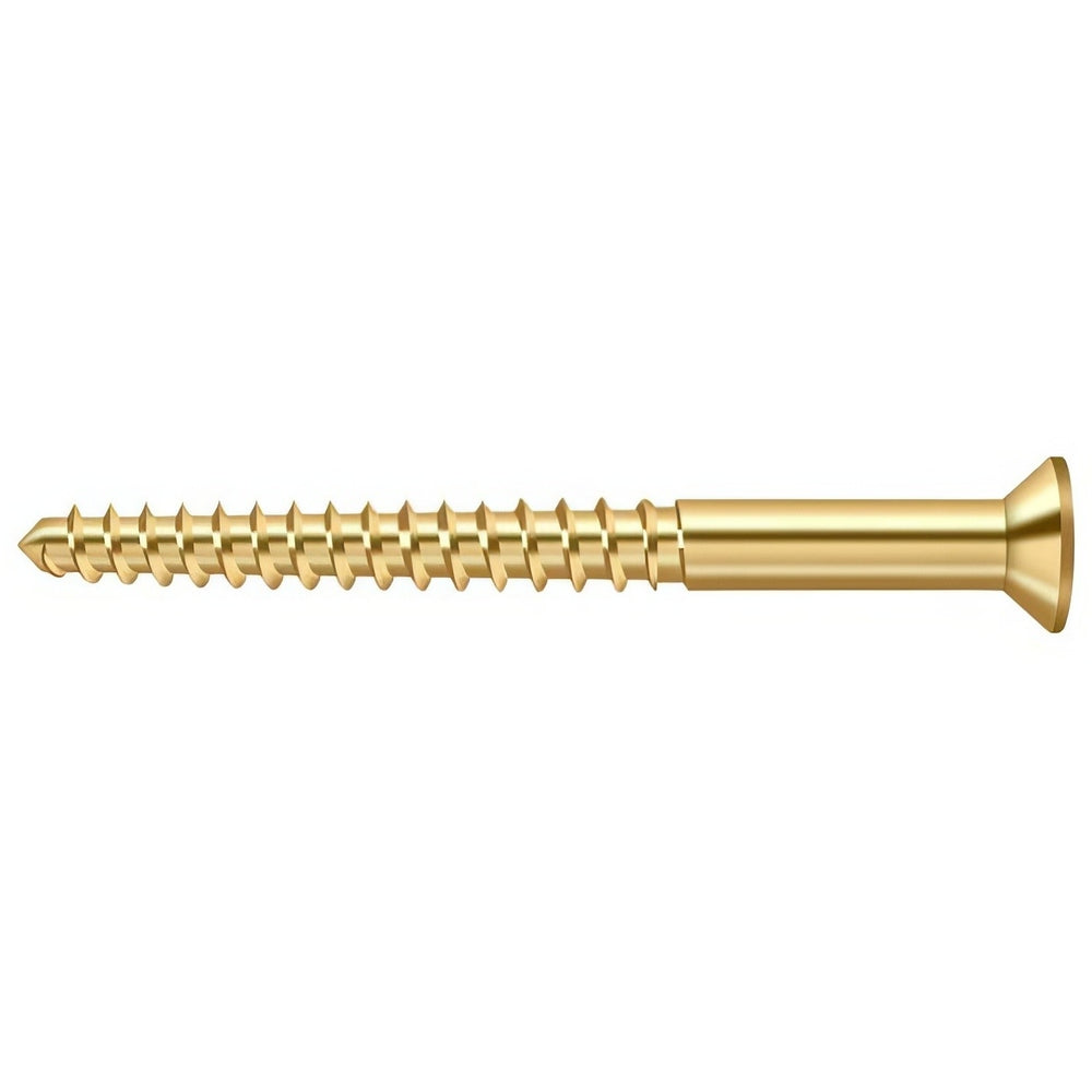 Deltana SCWB1225CR003 lifetime polished brass screw pack