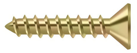 Deltana SCWS1010U2D zinc chromate screw pack