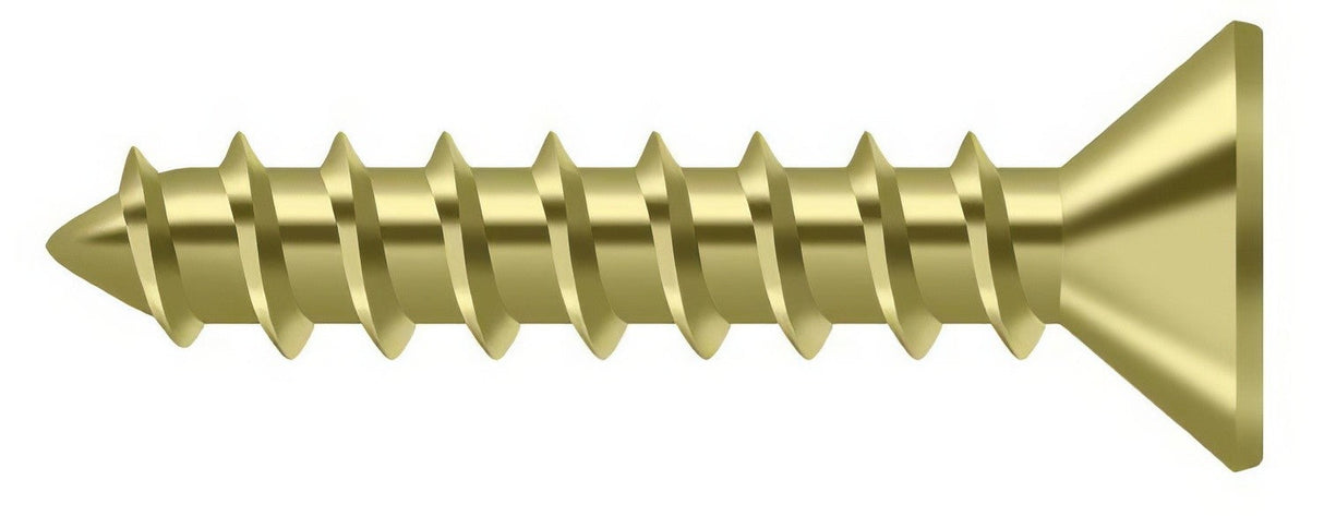 Deltana SCWS1010U3 polished brass screw pack
