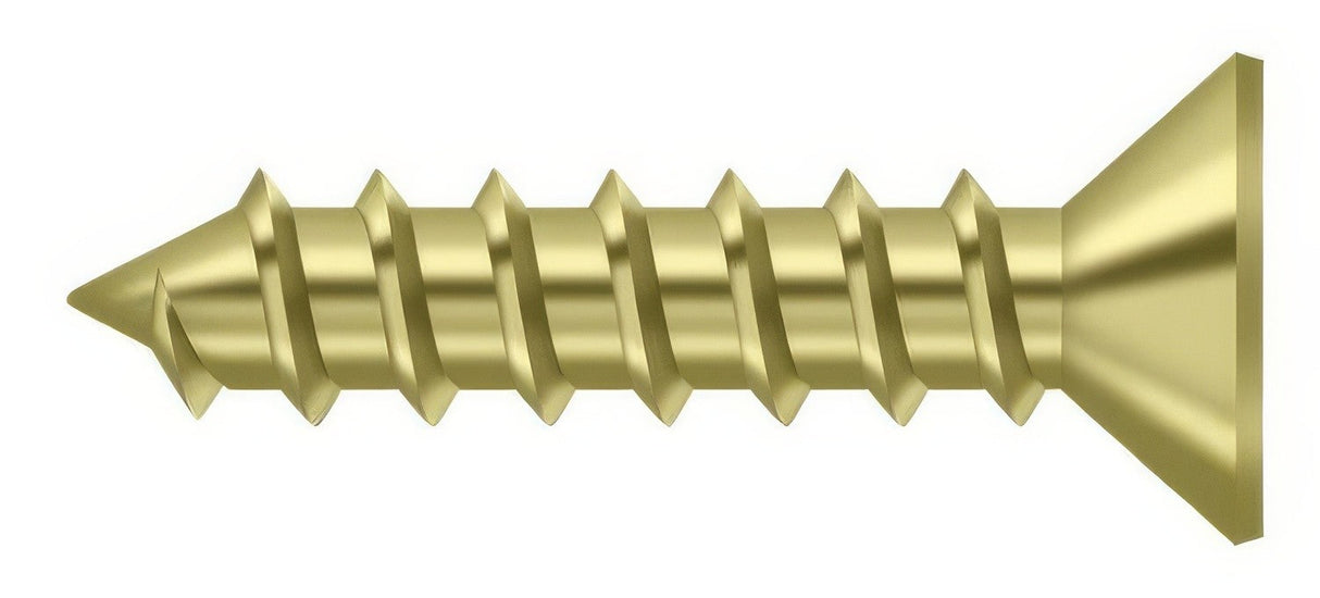 Deltana SCWS1210U3 polished brass screw pack