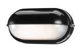 Access Lighting 20291-BL/FST black / frosted outdoor wall sconce