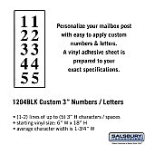 Salsbury 1204BLK Custom Numbers / Letters Vertical 3 Inches High
