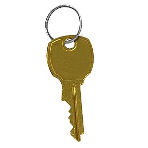 Salsbury 3398 Additional Key for Cluster Box Unit Standard Lock