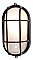 Access Lighting 20290-BL/FST Outdoor Wall Sconce