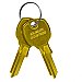 Salsbury 1199 Universal Key Blanks for Universal Locks Box of 50